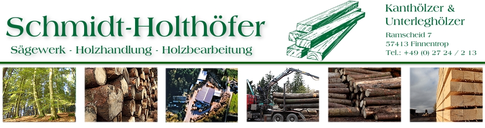 Sägewerk, Holzhandel, Holzbearbeitung, Finnentrop, NRW, Sauerland, 